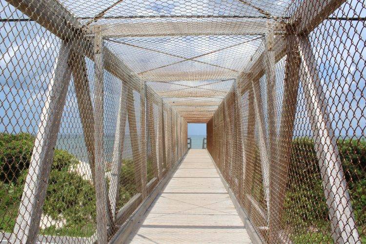 A walkover at North Beach ark in St Augustine, Florida