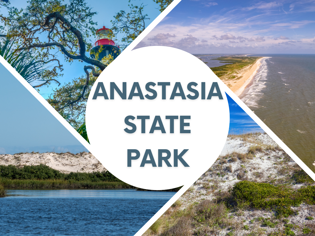 A collage of stunning landscapes from Anastasia State Park, showcasing white sand beaches, lush maritime hammocks, scenic nature trails, and vibrant wildlife, inviting visitors to explore the park's natural beauty.